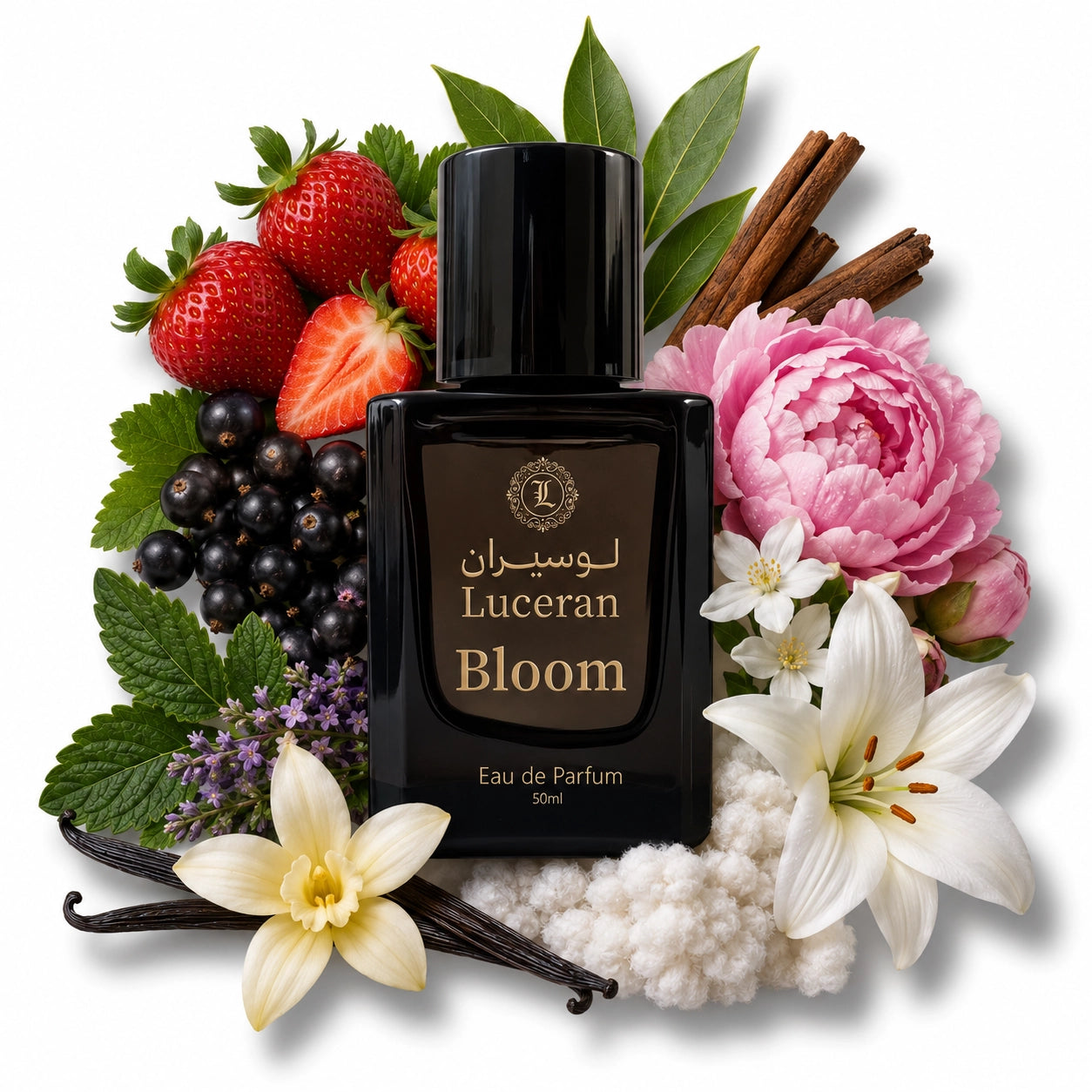 Bloom