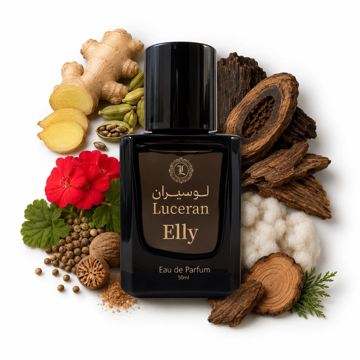 Elly